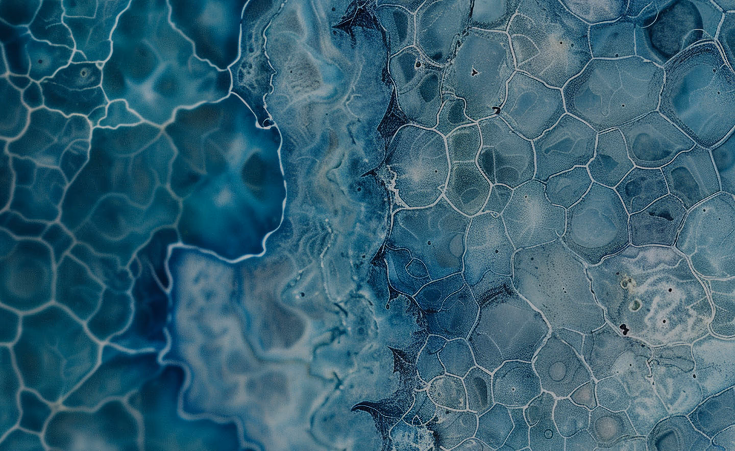 Close-up abstract pattern resembling cellular structures in varying shades of blue and teal.