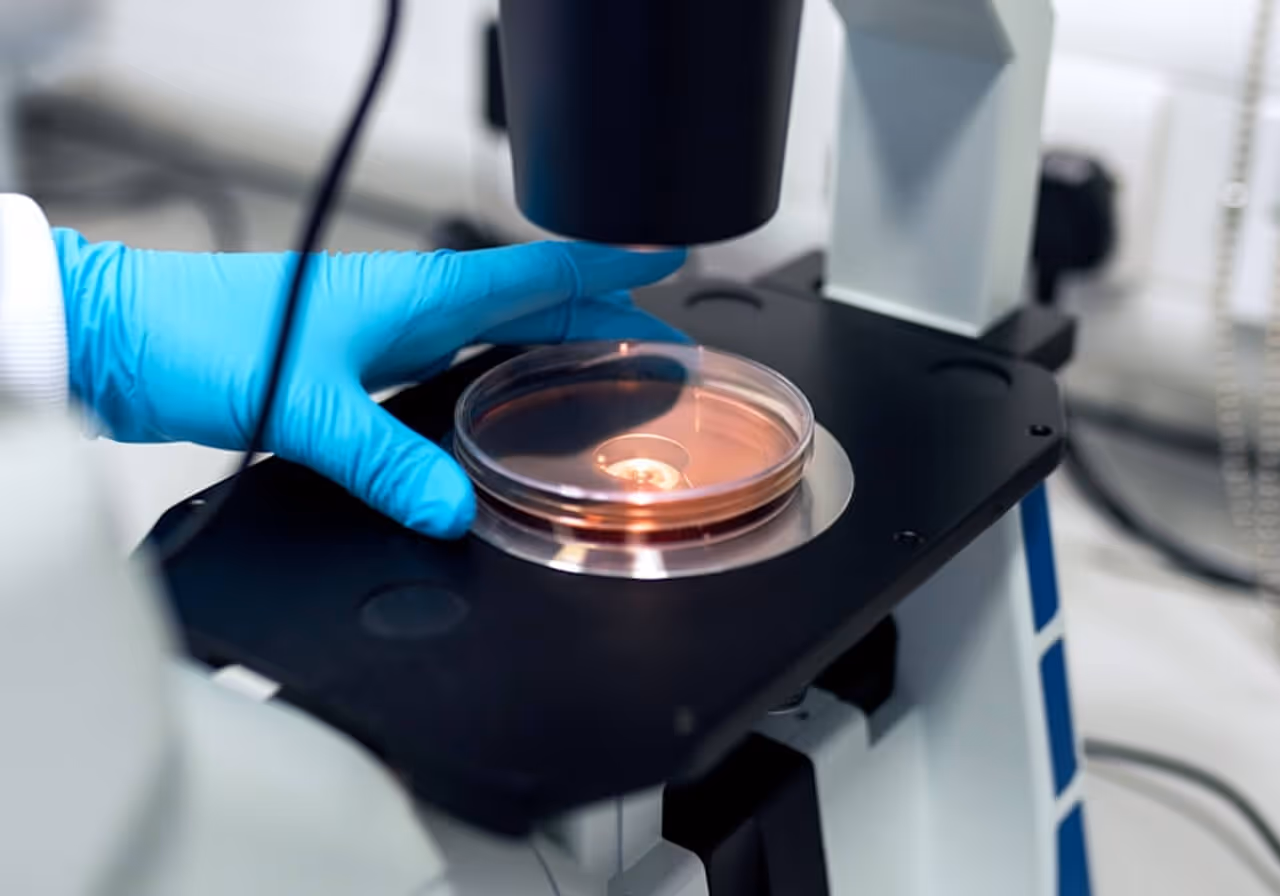 Gloved hand adjusting a petri dish on a microscope stage in a laboratory setting.